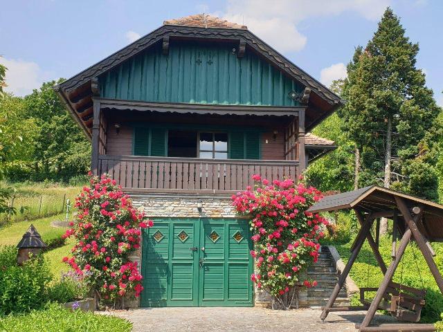 Haus kaufen in Markt Neuhodis, Burgenland