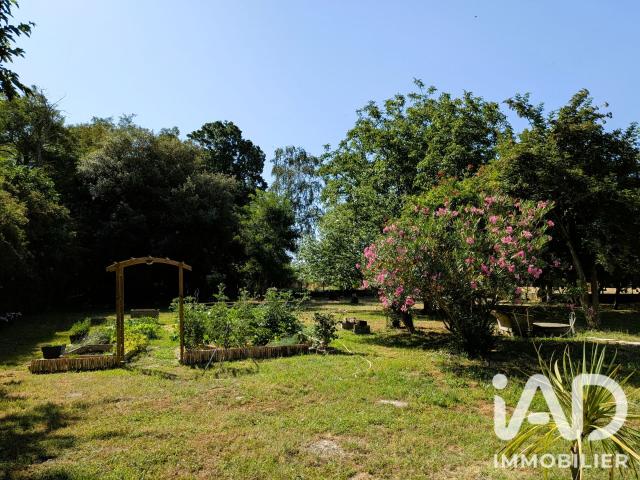 Maison vente à Muret, Auterive