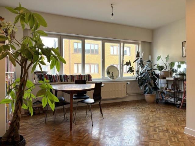 Appartement location à Desteldonk, Oost-Vlaanderen