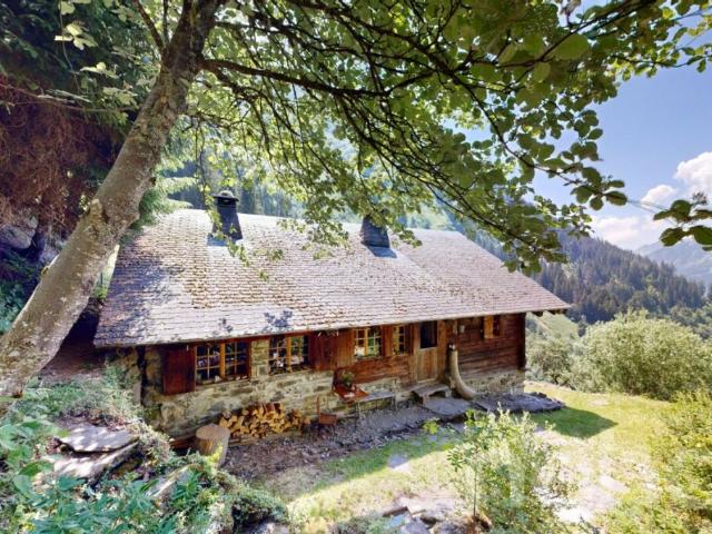 Haus kaufen in Val-d'Illiez, Wallis
