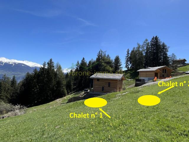 Haus kaufen