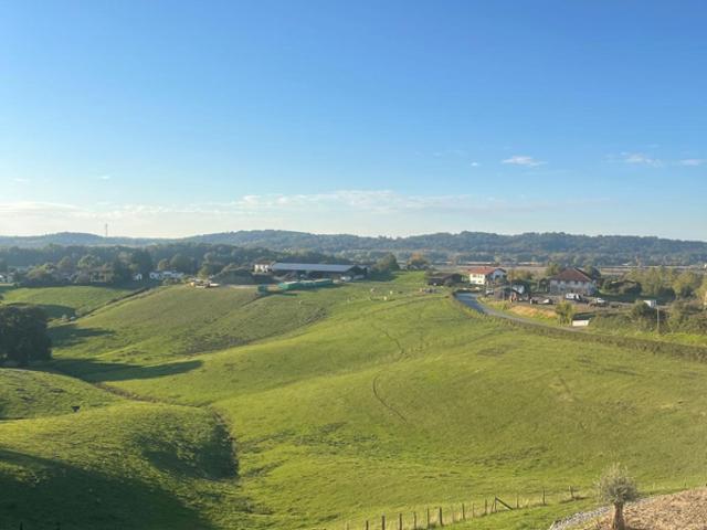 Maison vente à France métropolitaine, Came