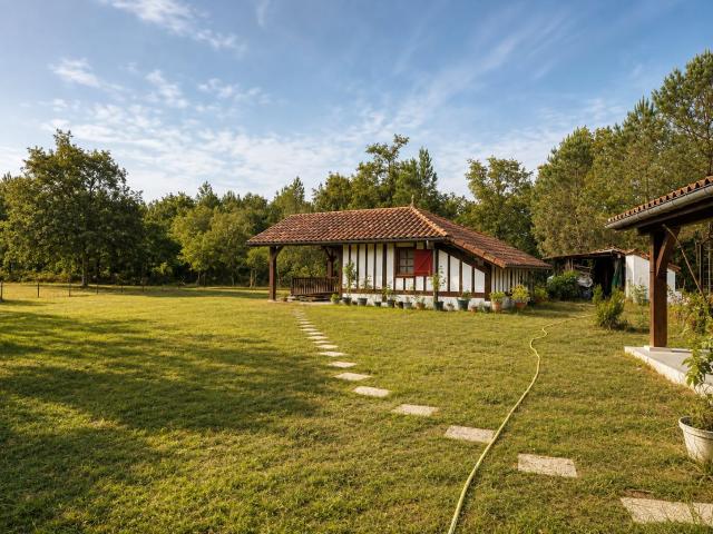 Maison vente à Mont-de-Marsan, Vert