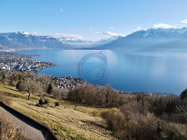 Landwirtschaft kaufen in Chardonne, Waadt