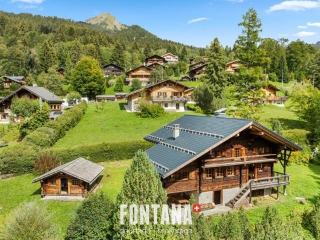 Haus kaufen in Les Diablerets, Ormont-Dessus