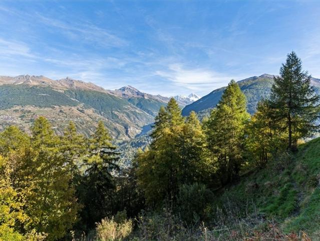 Haus kaufen in Hérémence, Wallis