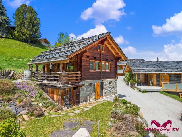 Haus mieten in Baar, Nendaz, Wallis