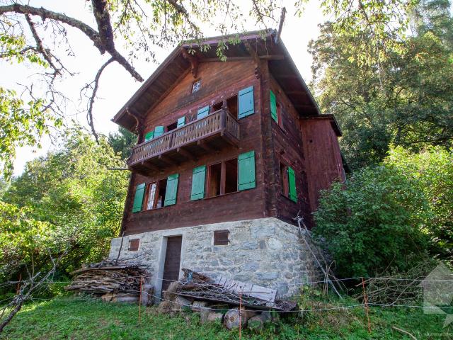 Haus kaufen in Les Mayens-de-Sion, Wallis
