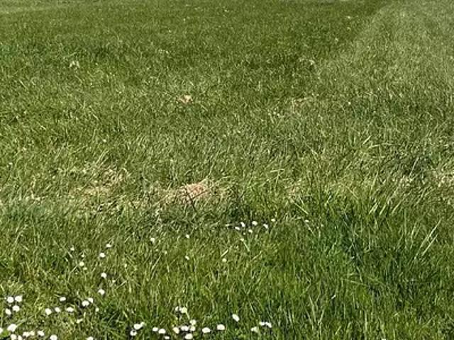 Terrain vente à France métropolitaine, Authon-ebéon