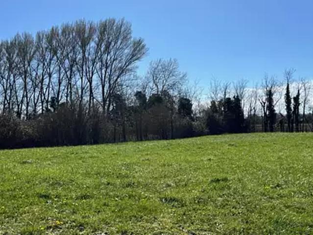 Terrain vente à Saint-Jean-d'Angély, Authon-ebéon