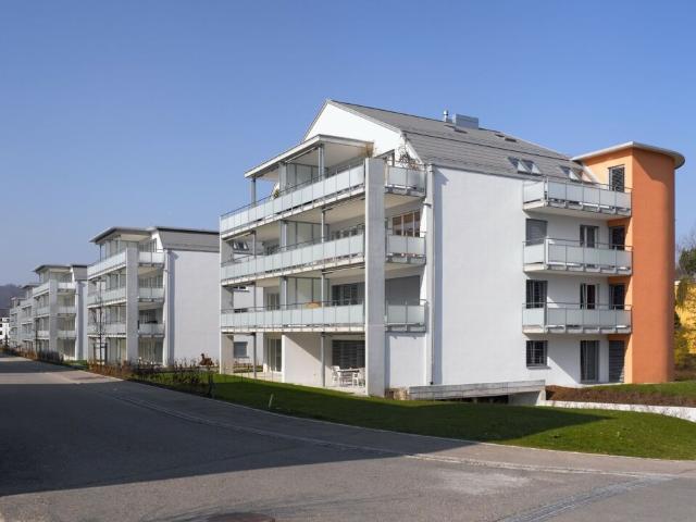 Immobilie mieten in Schlieren, Bezirk Dietikon