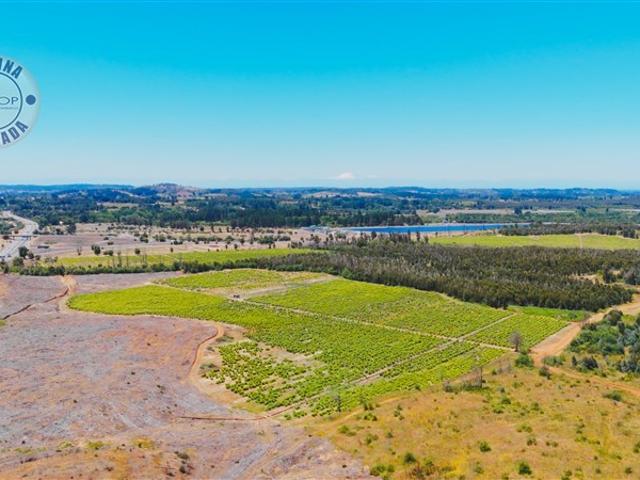 Terreno en venta en Ñuble