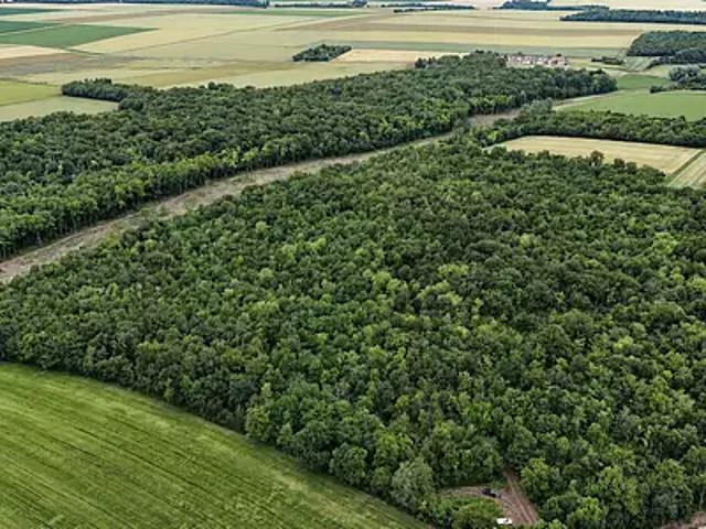 Terrain vente à Le Petit Marais, Autruy-sur-Juine