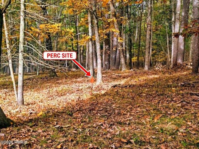 Land for sale in Hawley, Wayne County
