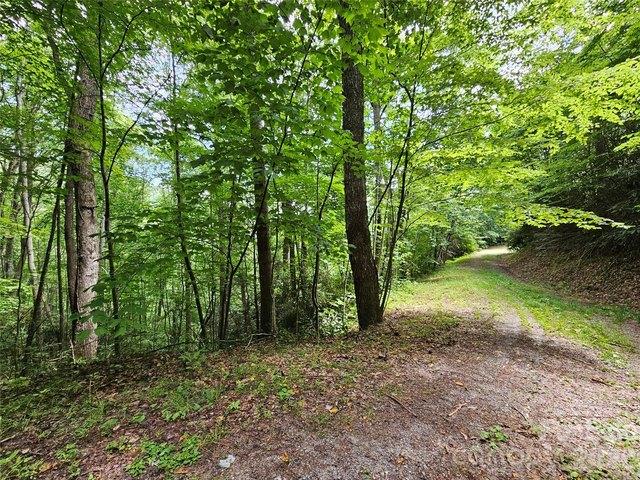 Land for sale in Haywood, North Carolina