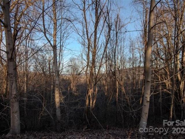 Land for sale in Lenoir