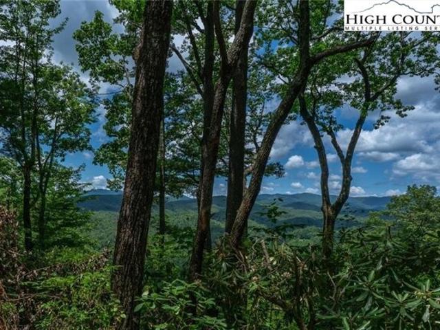 Land for sale in Lenoir