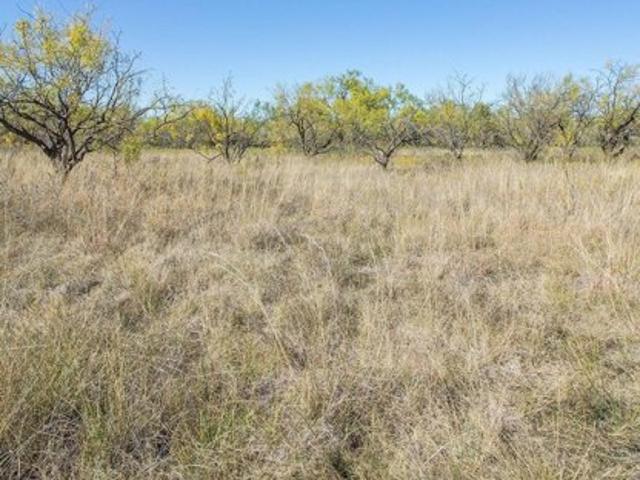 Land for sale in Taylor, Texas