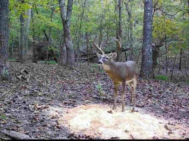 Land for sale in Ark