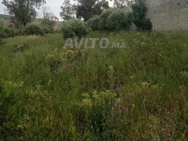 Propriété vente à Tétouan, Tanger-Tétouan
