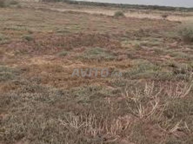 Propriété vente à Ouled, Oued ed Dahab-Lagouira