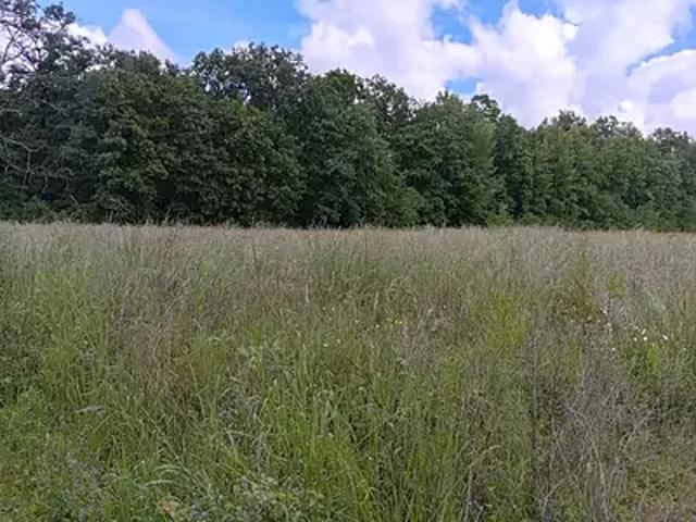 Terrain vente à Auxerre