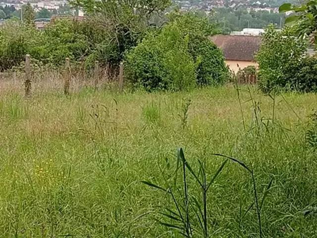 Terrain vente à Auxerre