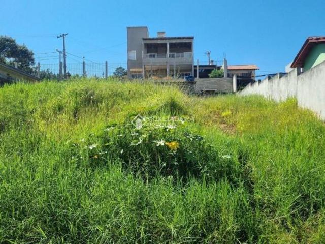 Terreno venda em Região Geográfica Imediata de Goiás - Itapuranga, Nova Crixás