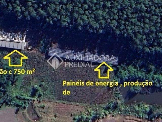 Terreno venda em Região Geográfica Imediata de Novo Hamburgo - São Leopoldo, Região Metropolitana de Porto Alegre