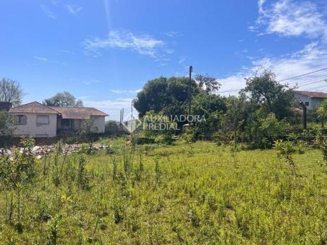 Terreno venda em São Leopoldo