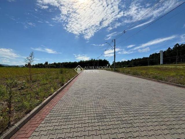 Terreno venda em Ivoti