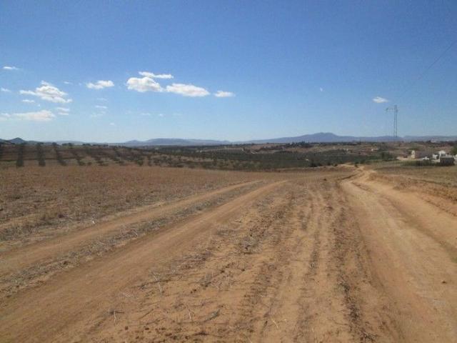 Terrain vente à Bir Mcherga