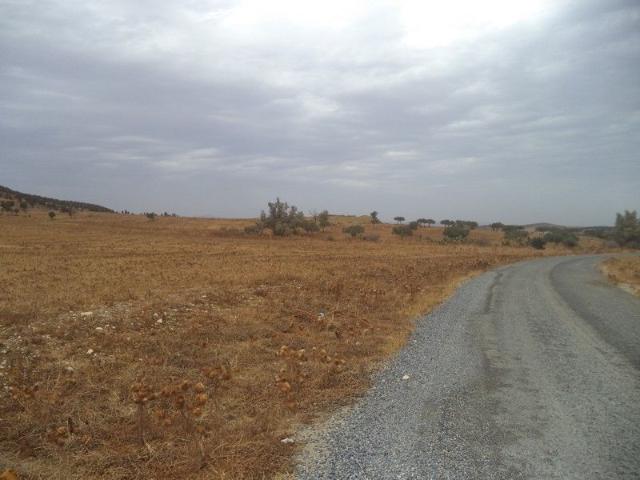 Terrain vente à Bir Mcherga