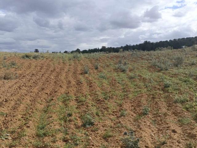 Terrain vente à Bir Mcherga