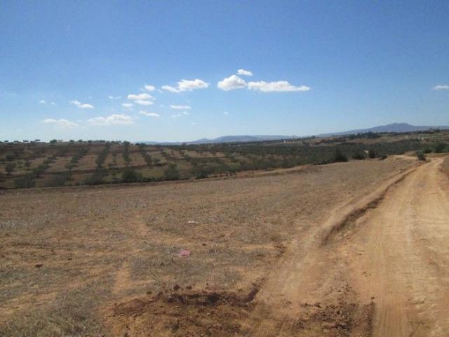 Terrain vente à Bir Mcherga