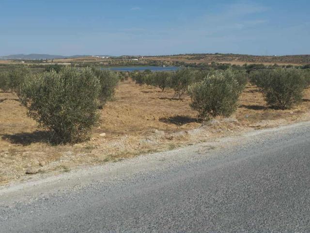 Terrain vente à Beni Khalled