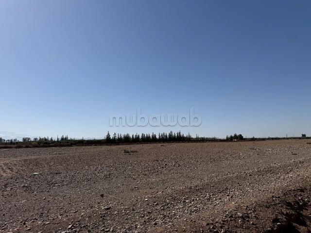 Terrain vente à Marrakech, L'Oriental