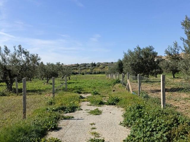 Terrain vente à Beni Khalled