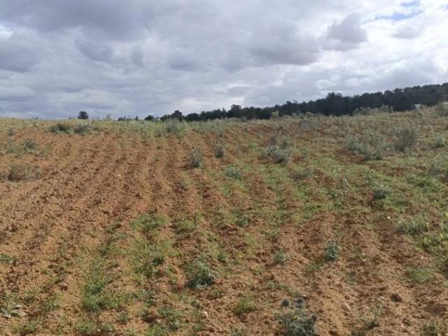 Propriété vente à Zaghouan, Bir Mcherga