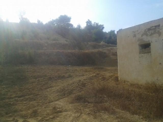Terrain location