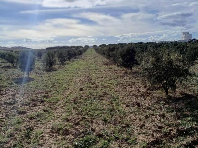 Terrain vente à Beni Khalled