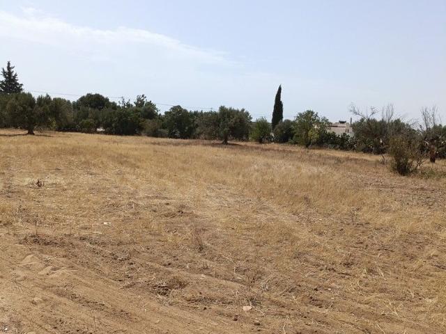 Terrain vente à Beni Khalled