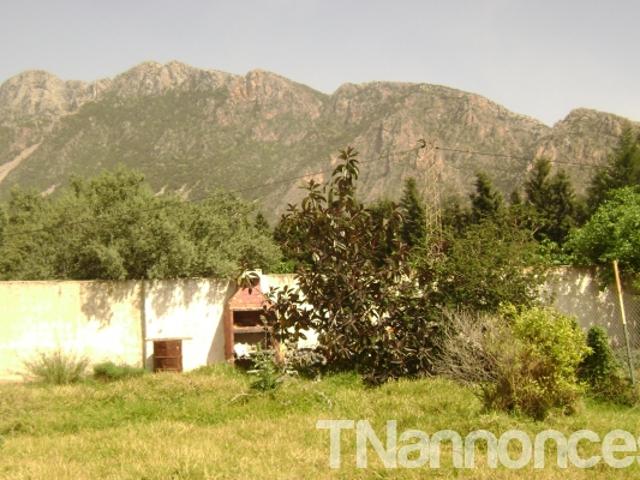Terrain location