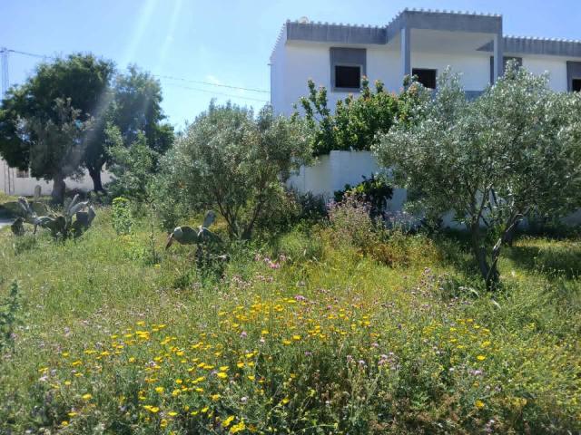 Villa vente à Hammamet, Beni Khalled