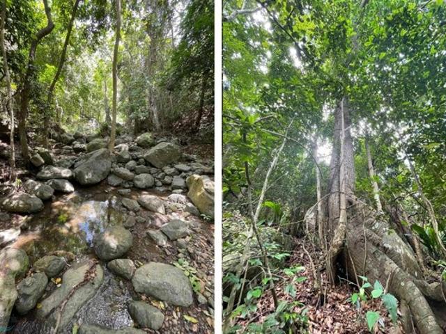 Land for sale in Salinas
