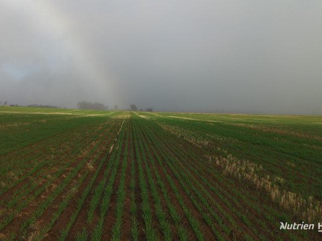 Property for sale in Jitarning, Western Australia