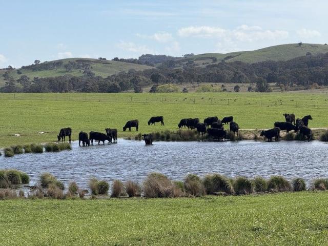 Cottage for sale in Blakney Creek, New South Wales