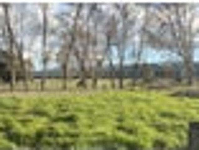 Land for sale in Tararua District