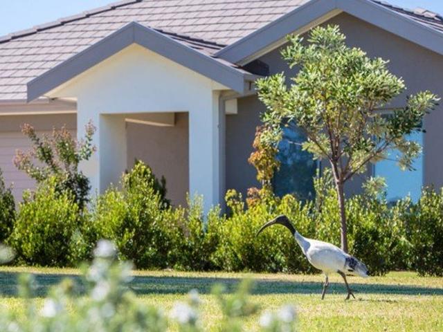 House for sale in Mornington, Melbourne