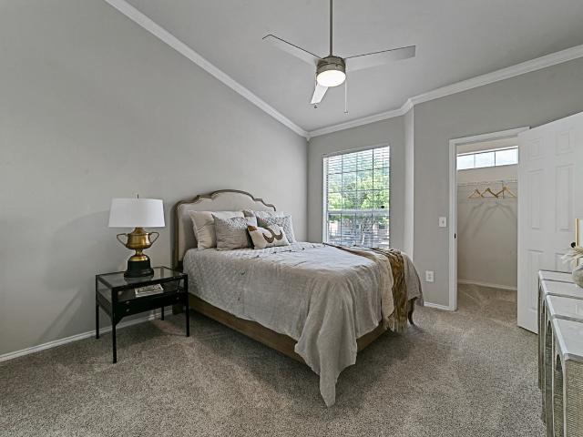 Apartment for rent in Plano, Texas